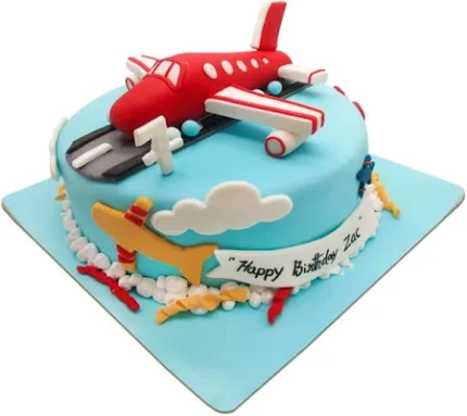 unique aeroplane cake