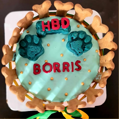 Birthday cake for Dog